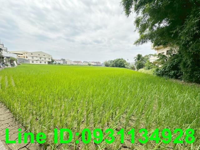 后里透天-10