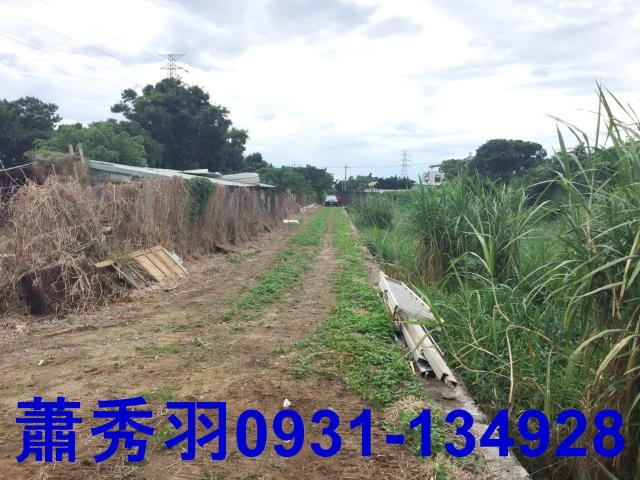 台中后里農地-0