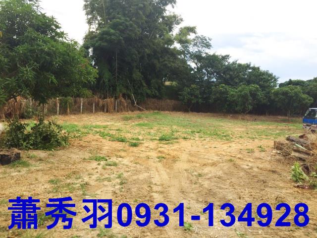 台中后里農地-3