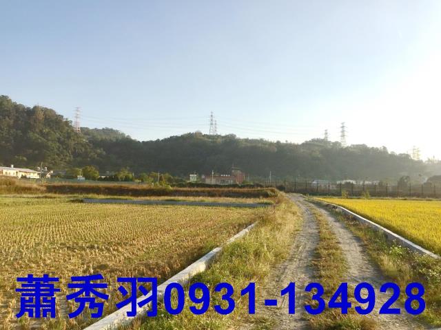 后里農地-0