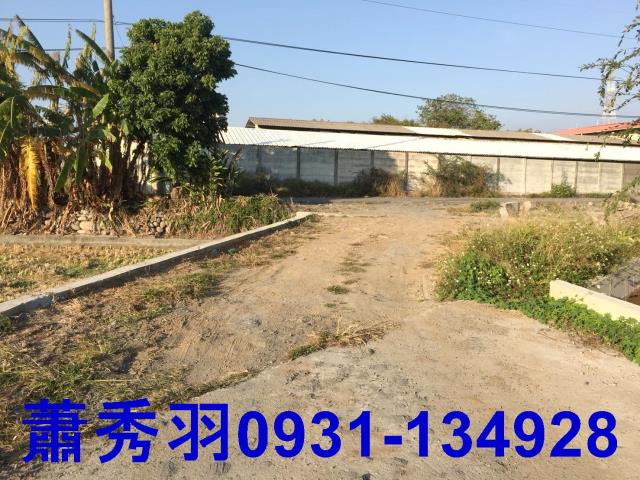 后里農地-3