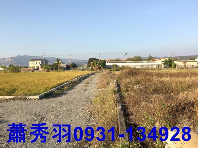 后里農地-1