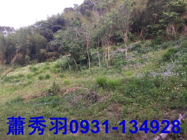 后里農建地-2