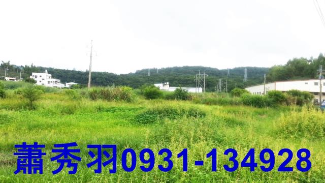 台中農地-1