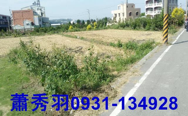 台中后里農地-0