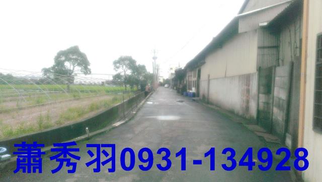 台中后里農地-4