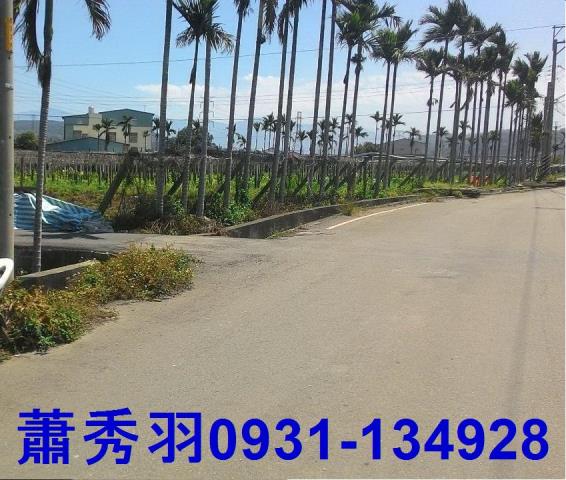 台中后里農地-2