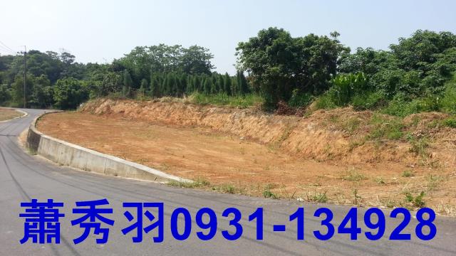 台中后里農地-0
