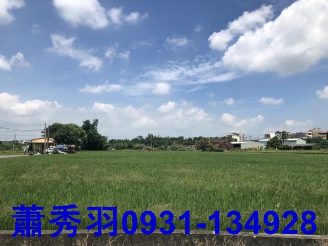台中后里農地-0