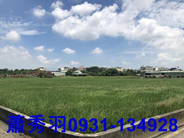 台中后里農地-1