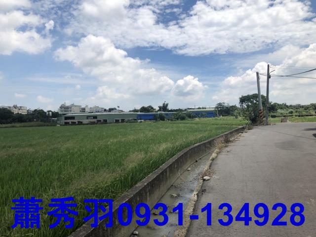 台中后里農地-2