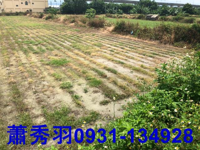 后里農地-2