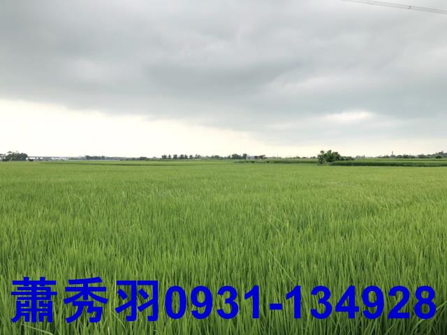 台中外埔農地-0