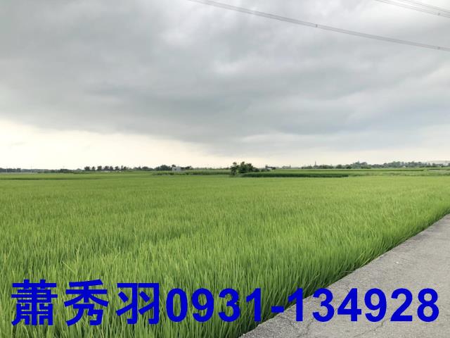 台中外埔農地-3