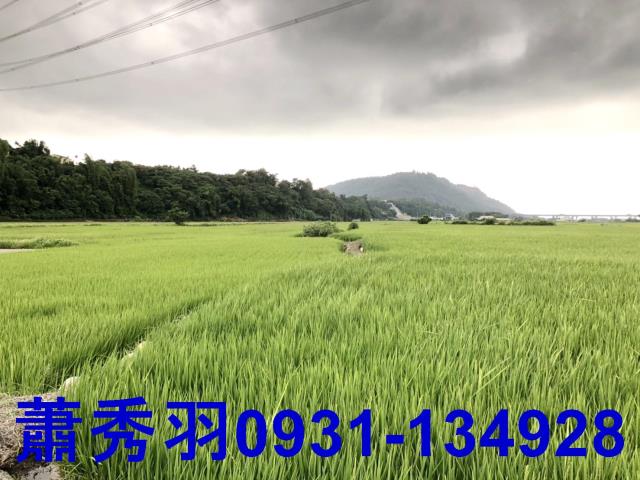 台中外埔農地-2