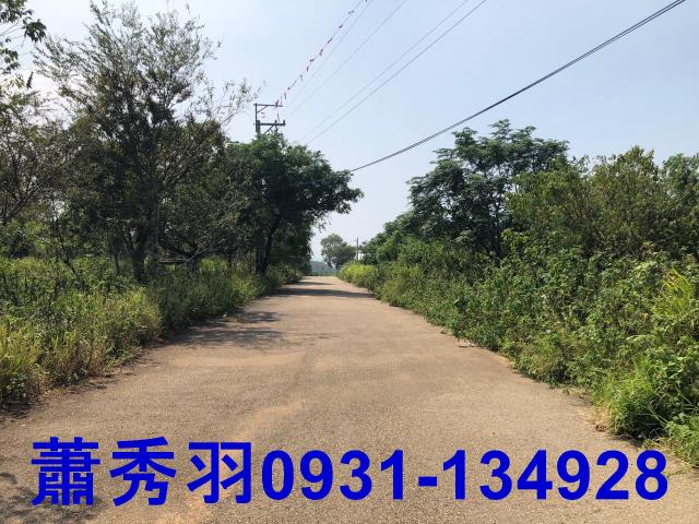 台中外埔農建地-2