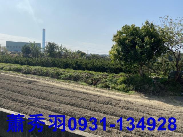 后里農地-2