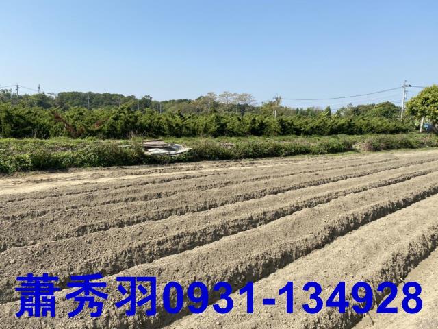 后里農地-0