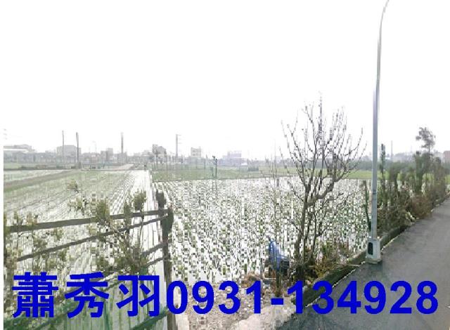 大甲農地-0