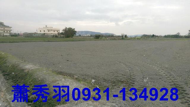 大甲農地-2
