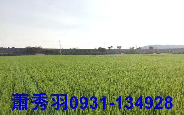 大甲農地-0
