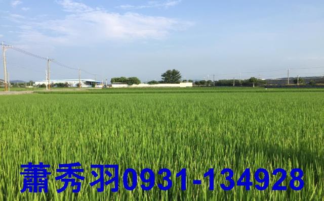 大甲農地-2