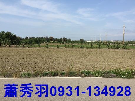 苗栗苑裡農地-0
