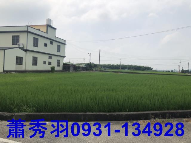 苗栗苑裡農地-0