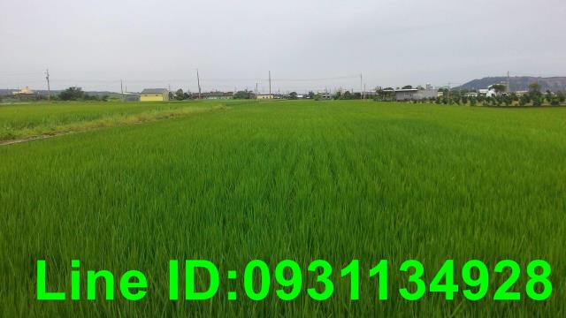 苗栗苑裡農地-1