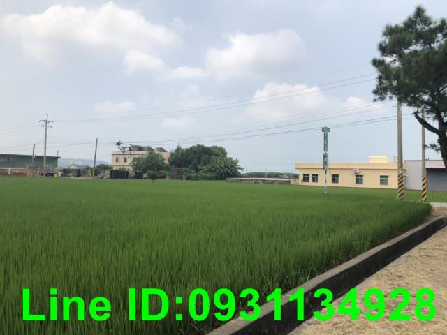 苗栗苑裡農地-1