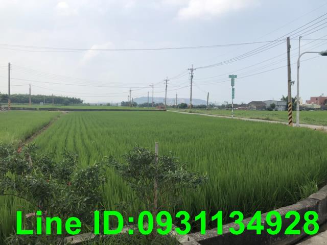 苗栗苑裡農地-2