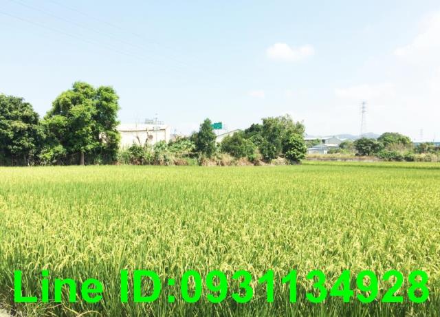 豐原農地-0