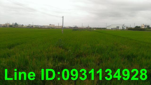 通霄農地-1