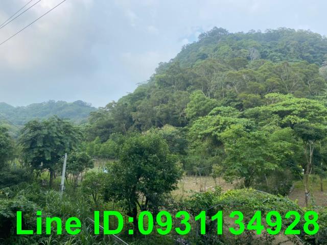台中后里農地-6