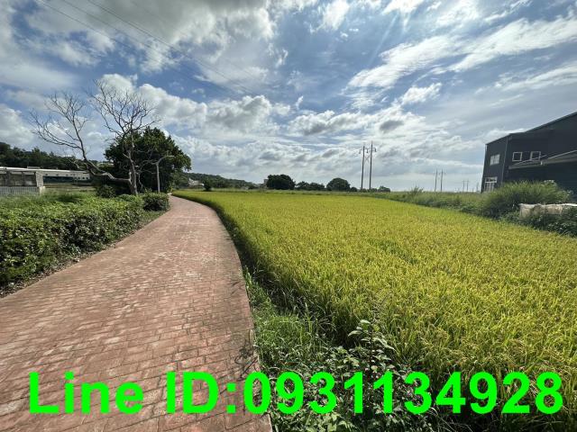 台中外埔農建地-1