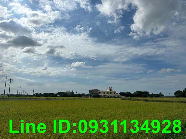 台中外埔農建地-3