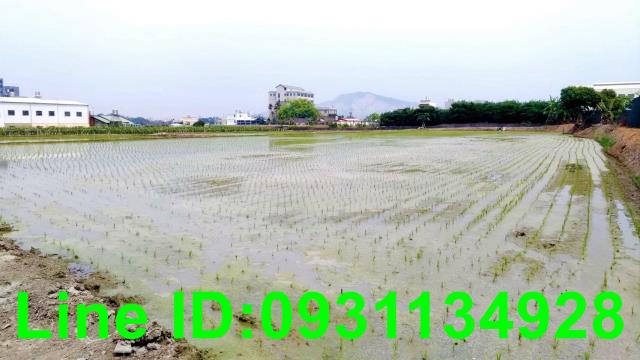 台中后里農地-1