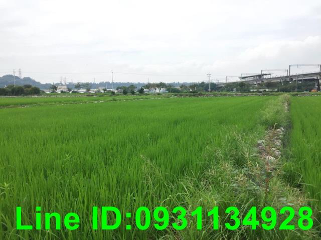 后里農地-0