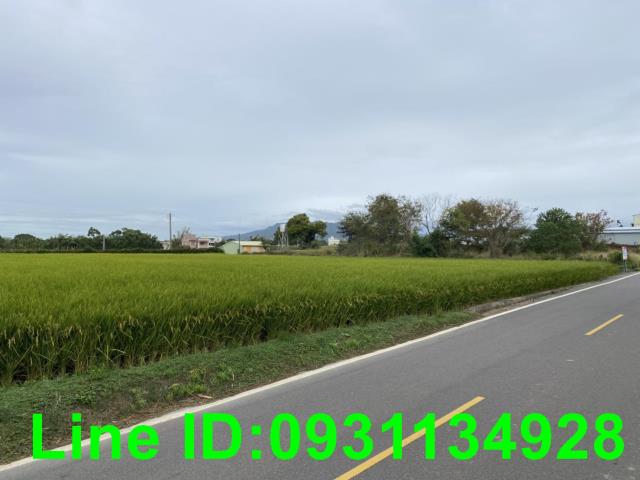 台中外埔農地-2
