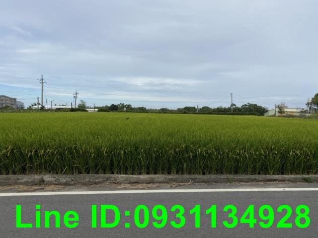 台中外埔農地-1