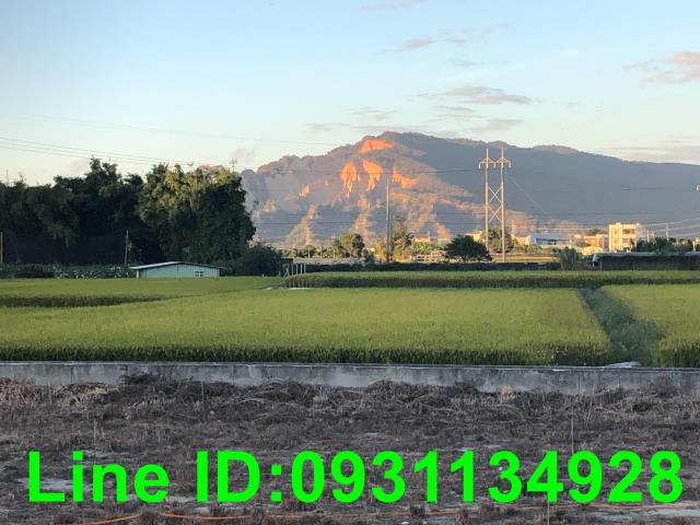 后里農地-0