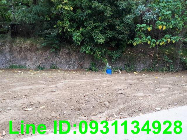 台中后里農地-1