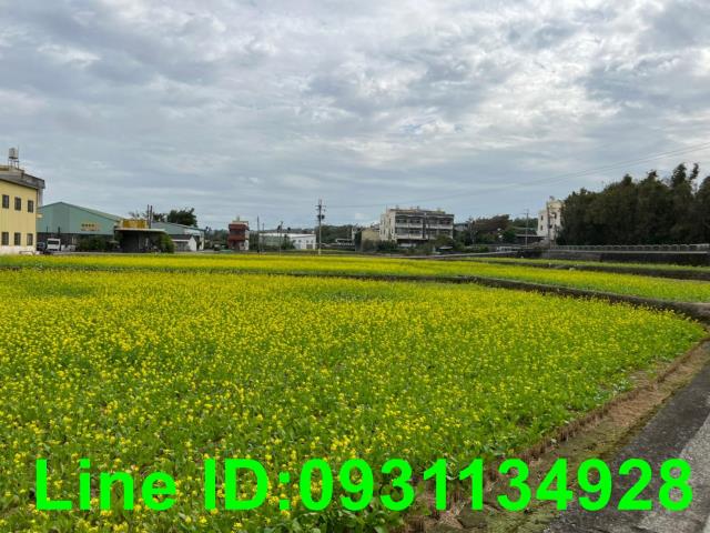外埔農地-0