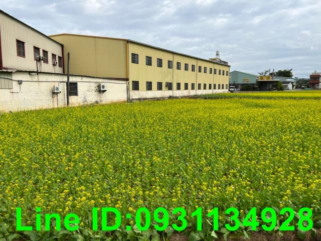外埔農地-1