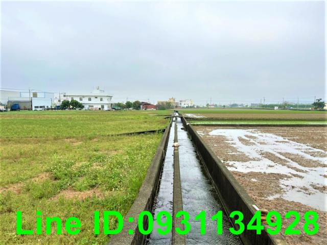 苗栗苑裡農地-6