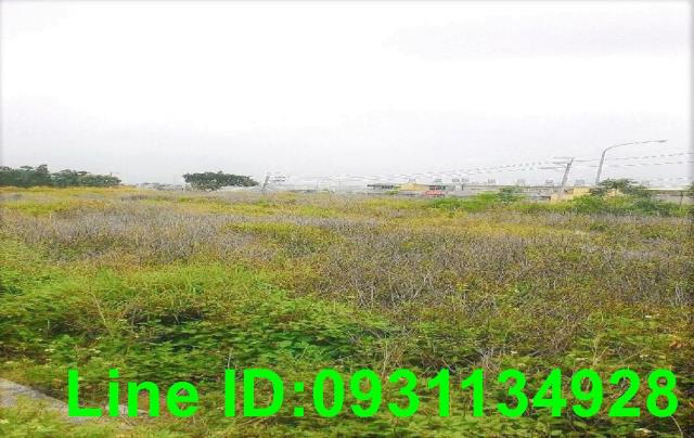 外埔農地-1