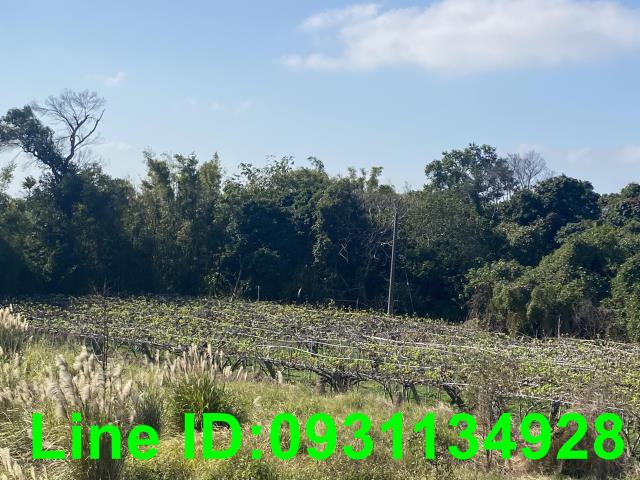 后里農地-1