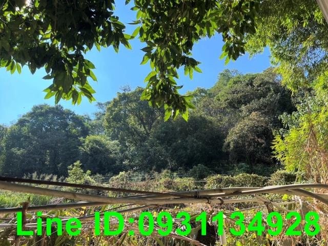 外埔農地-5