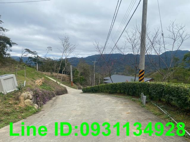 銅鑼農地-2