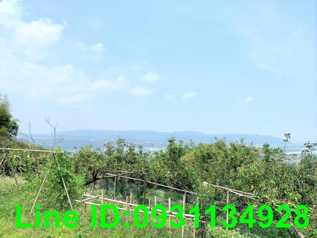 東勢農地-1